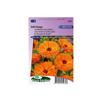 Calendula off. fl. plena Ball's Orange
