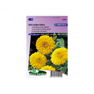 Calendula off Ball's Golden Yellow