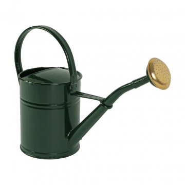 Talen Tools Gieter 2L metaal groen