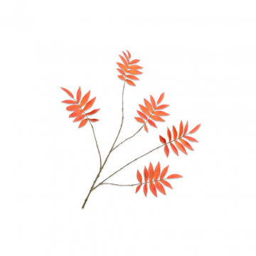 Bladtak Oranje