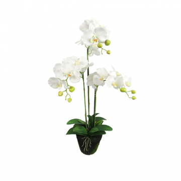 Kunstplant Orchidee 3 taks wit 80 cm