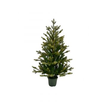 Evergreen tafel kunstkerstboom Emerald angel pine 90 cm