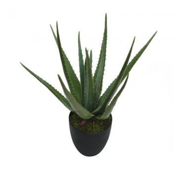 Kunstplant Aloe Vera in pot 70 cm