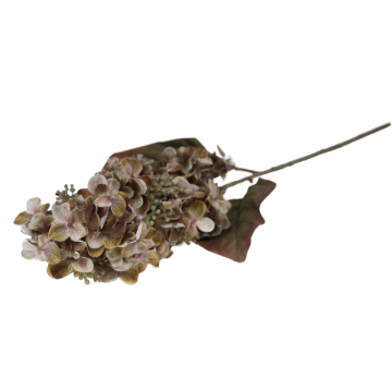 Sering 70 cm beige