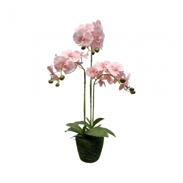 Kunstplant Orchidee 3 taks roze 80 cm