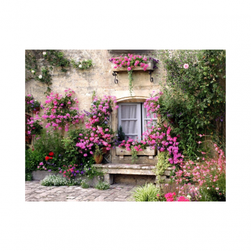 Tuinposter Bloemenmuur 
