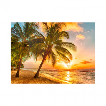 Tuinposter  XL Strand Ondergaande Zon 