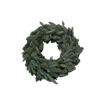 Krans Nobilis 50 cm rond gebonden