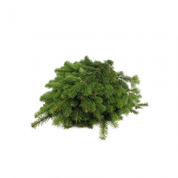 Nordmann Handbos Kerstgroen