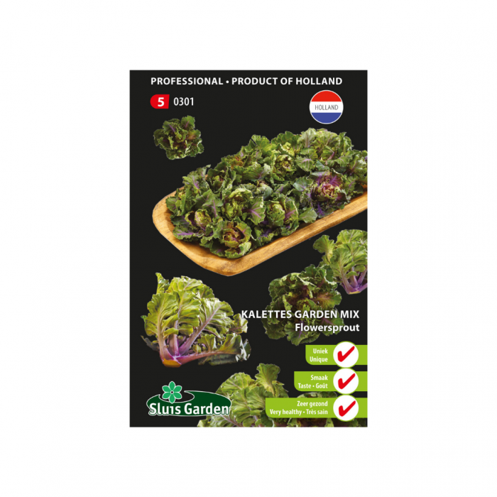 Kalettes, Flowersprout Garden mix main product photo