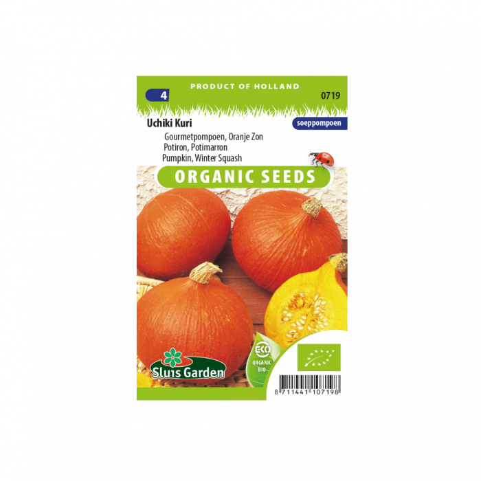 Pompoen Uchiki Kuri BIO main product photo