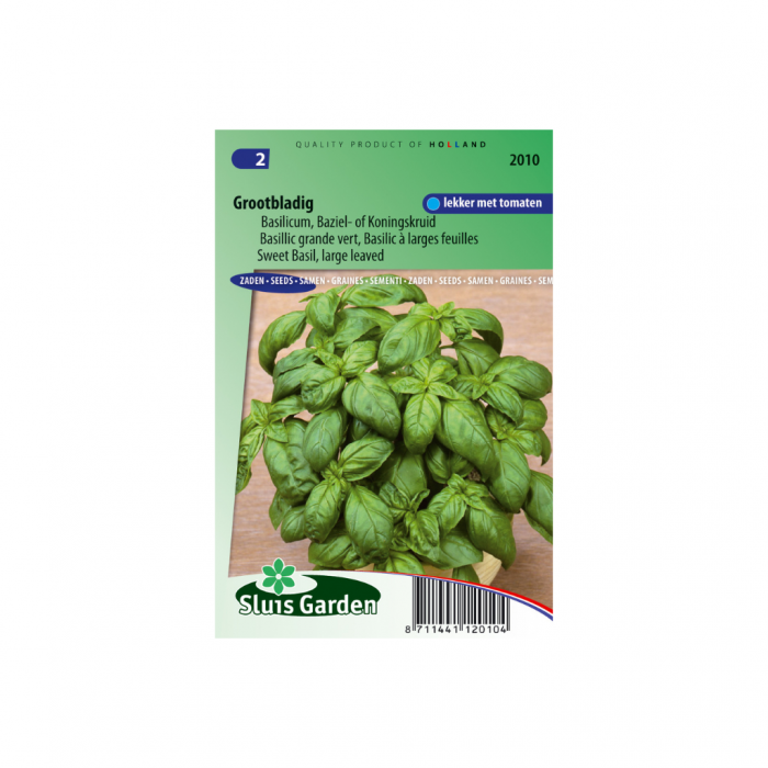 Basilicum Grove Ocimum basilicum main product photo