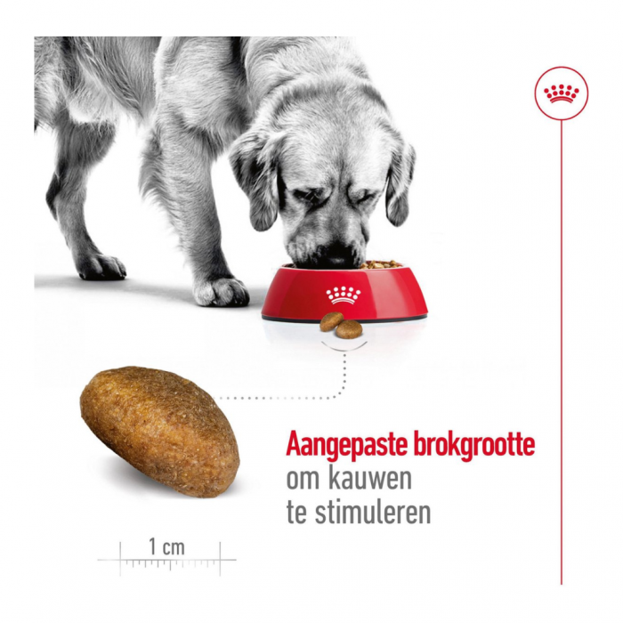 Royal Canin Hondenvoer Maxi adult 15 kg
