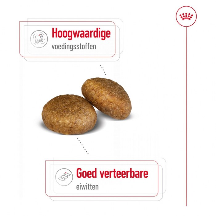 Royal Canin Hondenvoer Maxi adult 15 kg