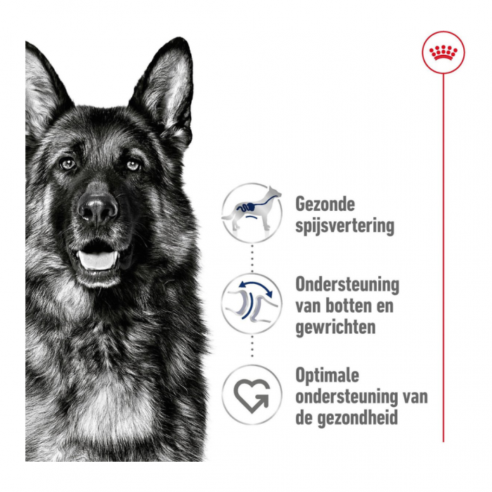Royal Canin Hondenvoer Maxi adult 15 kg