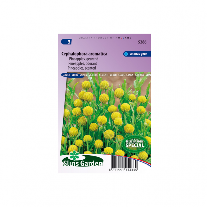 Cephalophora Aromatica Pineapples main product photo