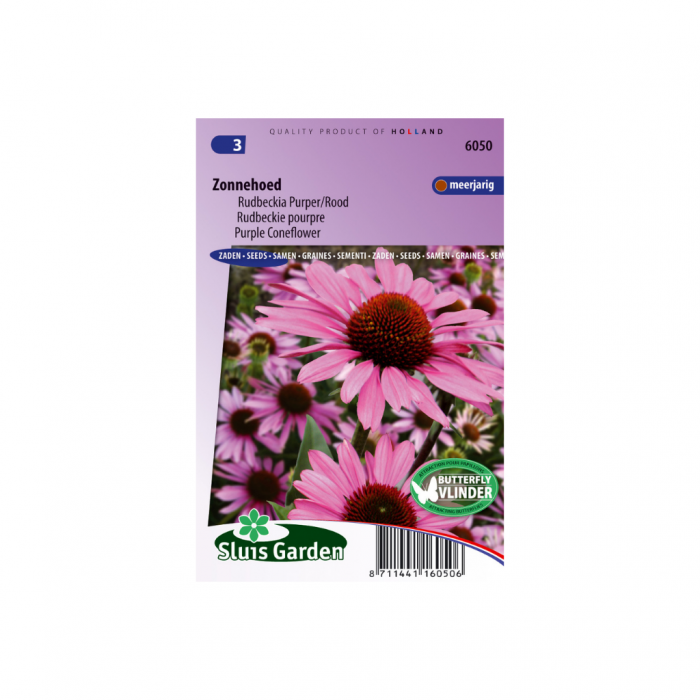 Rudbeckia purpurea (Echinacea) main product photo