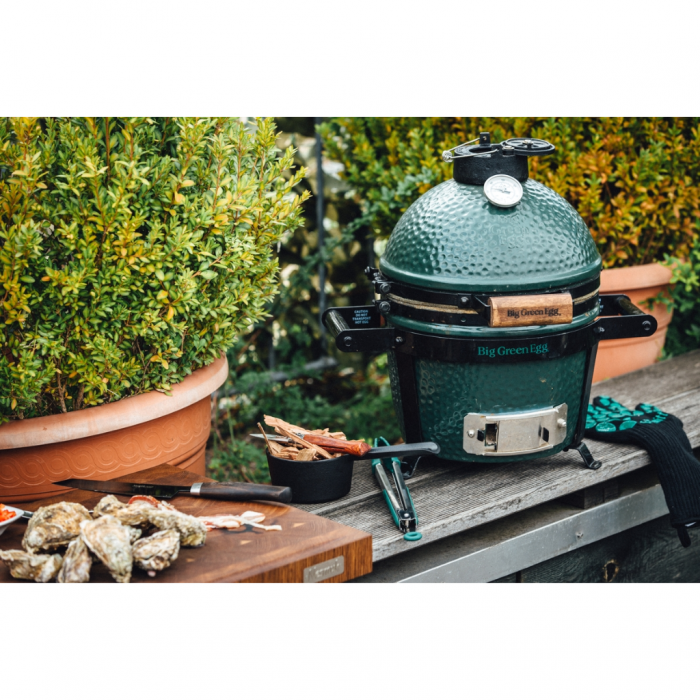 Big Green Egg Mini