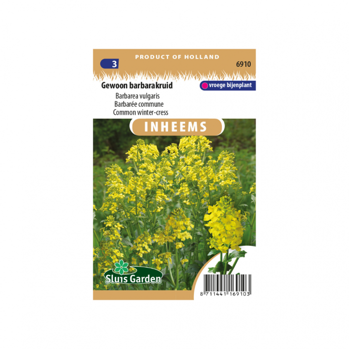 Barbarea vulg. Gewoon barbarakruid main product photo