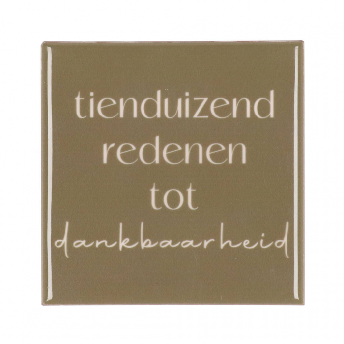 Tegel Tienduizend Bruin 10 x 10 cm main product photo