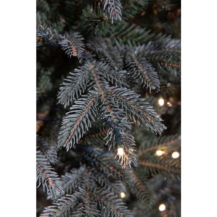 Black Box Trees kunstkerstboom Frasier blauw met verlichting 215x145cm