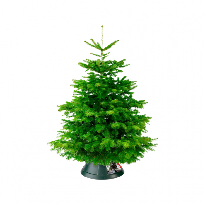 Elho Nordman 39cm Groen