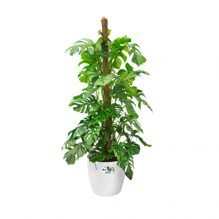Elho Brussels Rond Wielen 35cm Wit