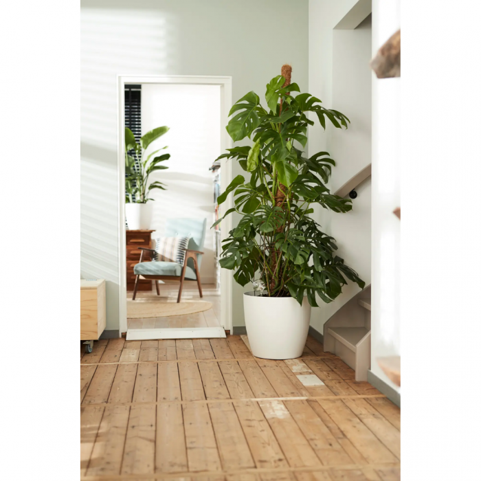Elho Brussels Rond Wielen 35cm Wit