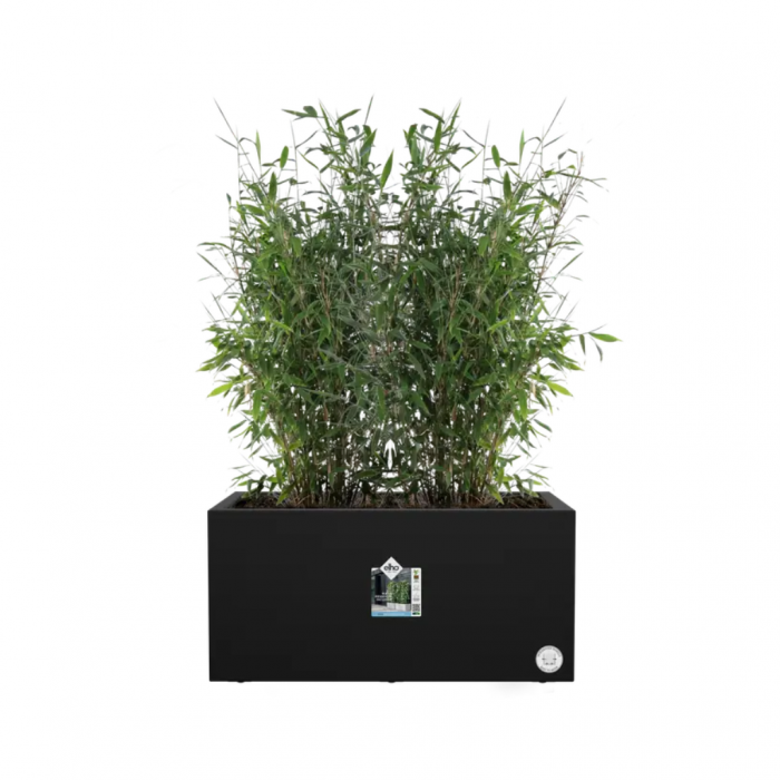 Elho Plantenbak Vivo Next Lang 80 Zwart