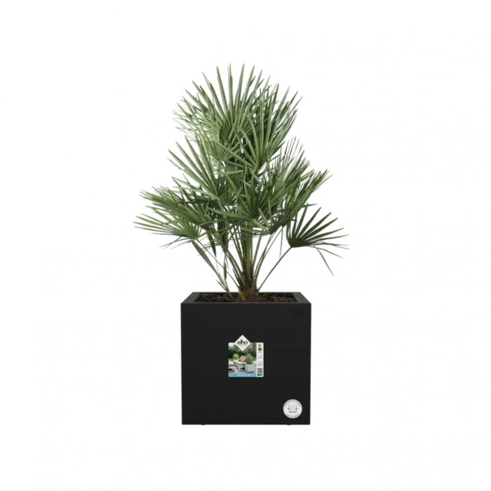 Elho Plantenbak Vivo Next Vierkant 30 Zwart