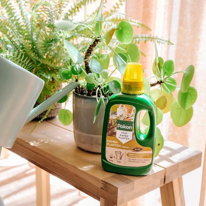 Pokon Bio Kamerplanten Voeding 500ml