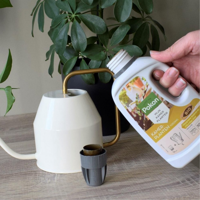Pokon Bio Kamerplanten Voeding 500ml