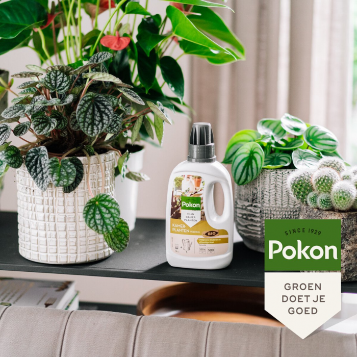 Pokon Bio Kamerplanten Voeding 500ml