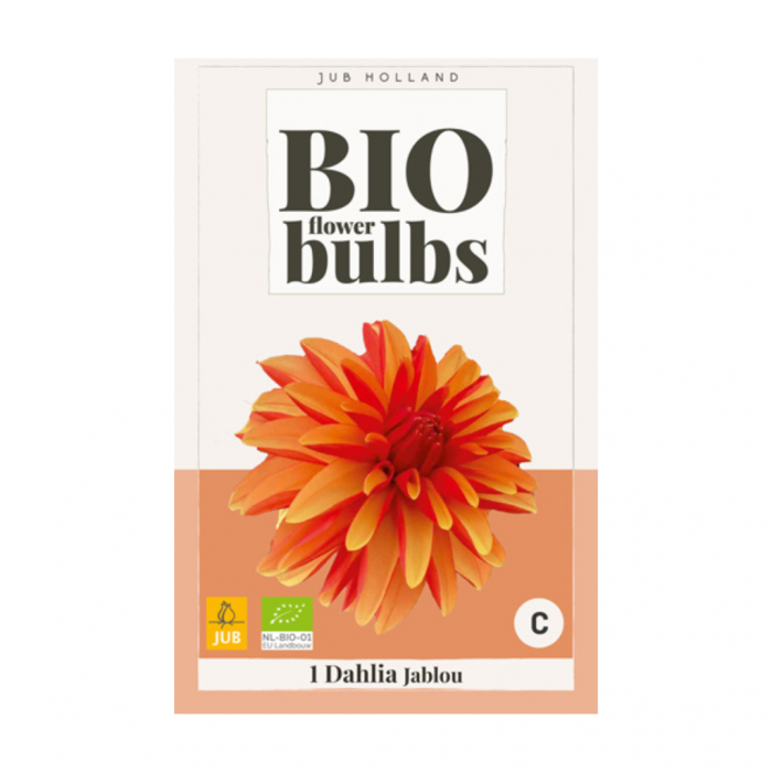 Dahlia jablou bio 1 bol main product photo