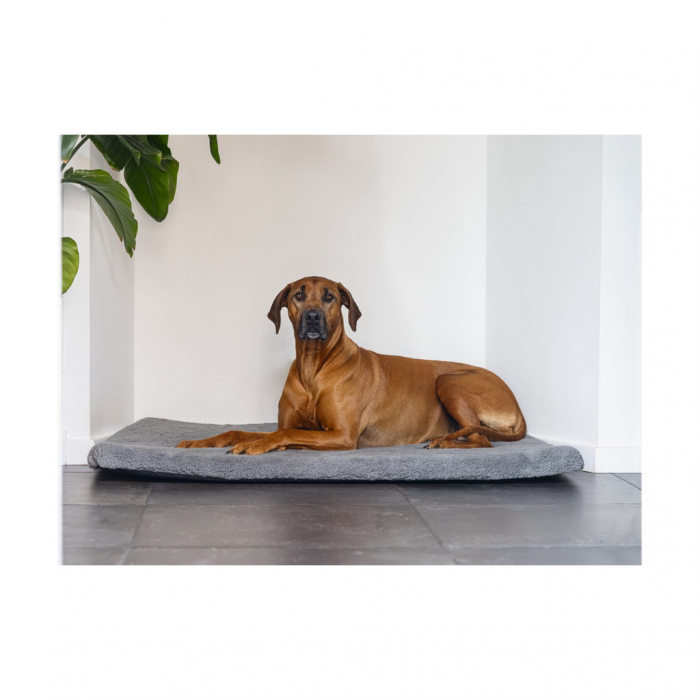 Beeztees Orthoped Benchk Ito Grs 109X69
