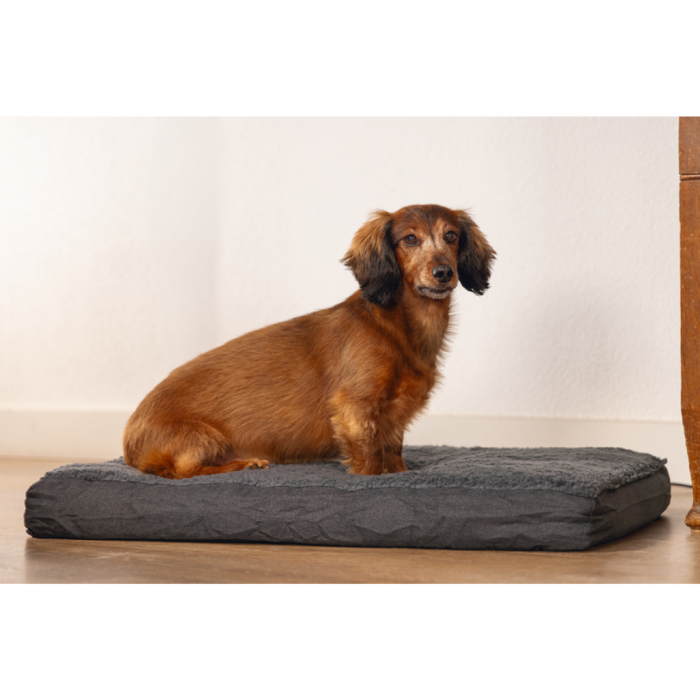 Beeztees orthopedisch hondenkussen Zira donkergrijs 75 x 50 cm