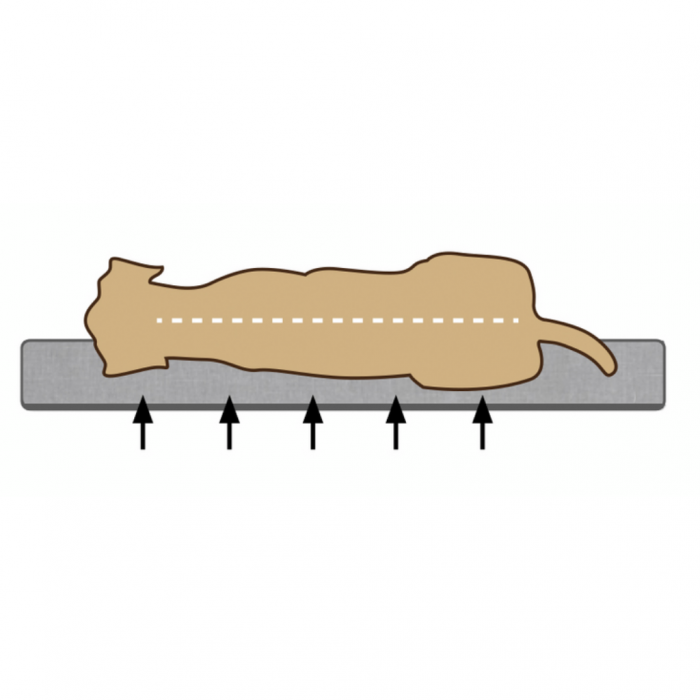 Beeztees orthopedisch hondenkussen Zira donkergrijs 120 x 80 cm