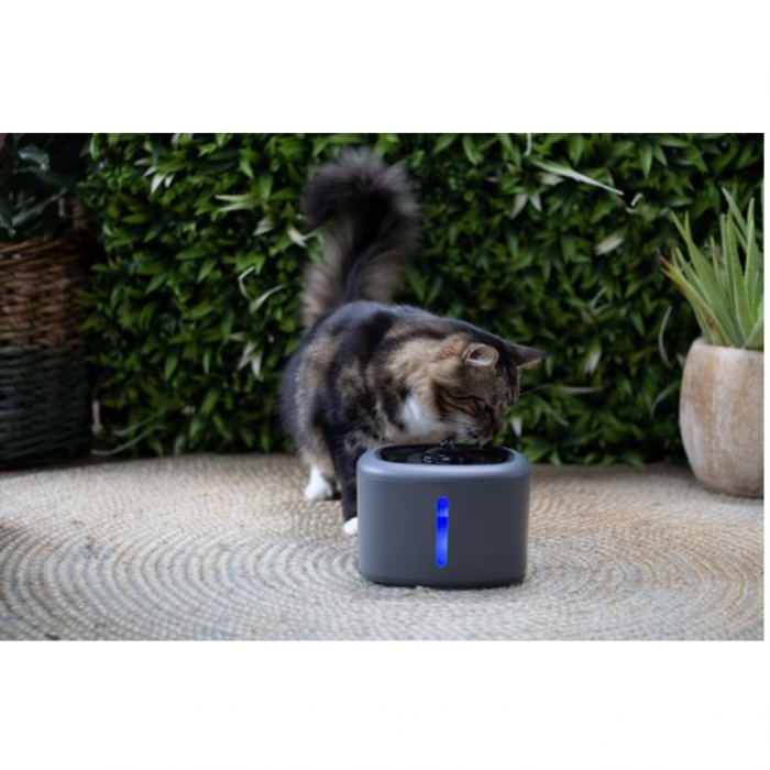 Boon Drinkfontein aquabella anthracite 2,5L