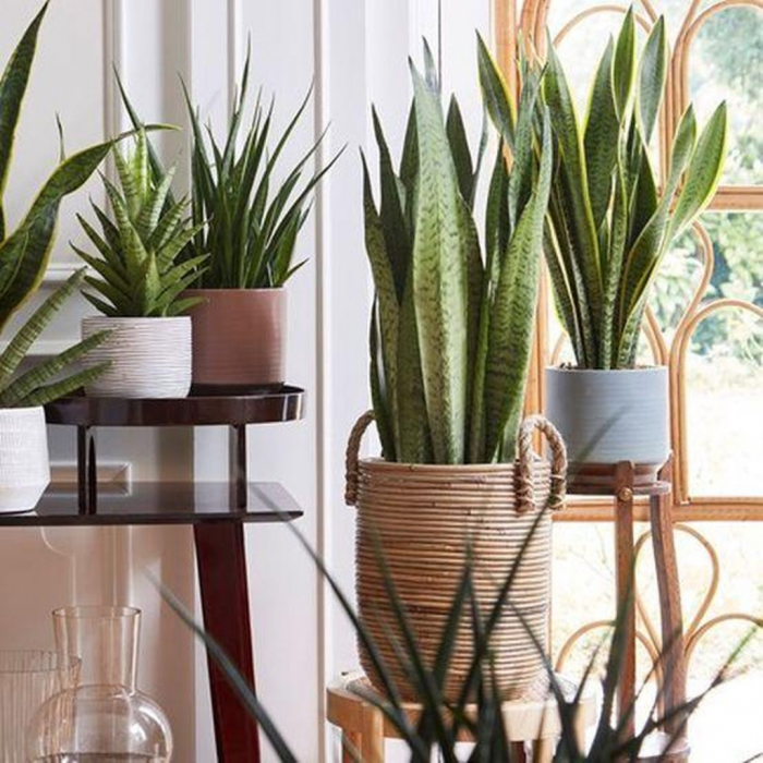 Van der Leeden Plantenmand Streep Grijs 40x45