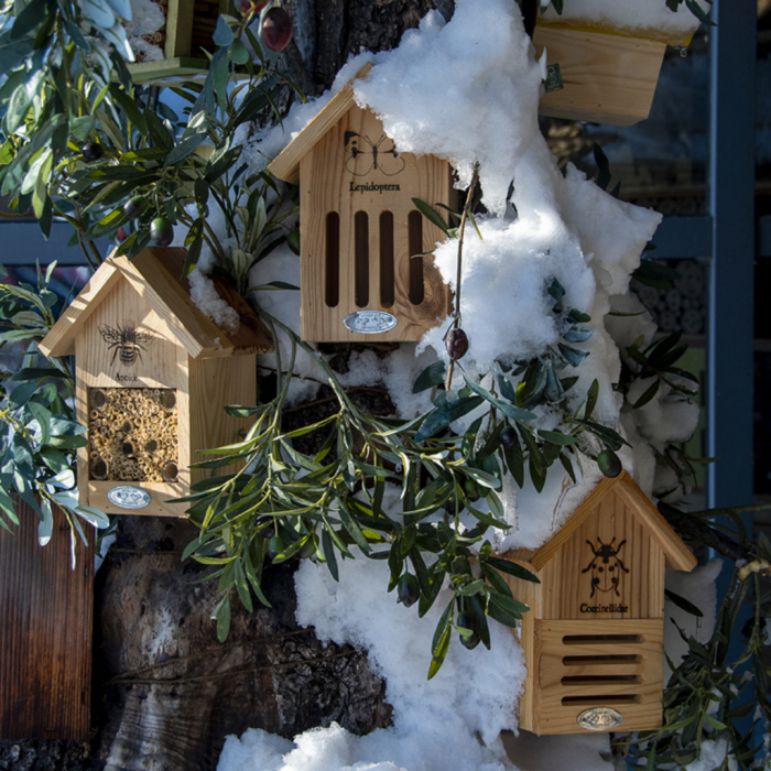 Esschert Design Vlinderkast silhouet