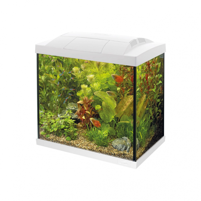 Superfish Aquarium Tropical Startset 30 LED Wit