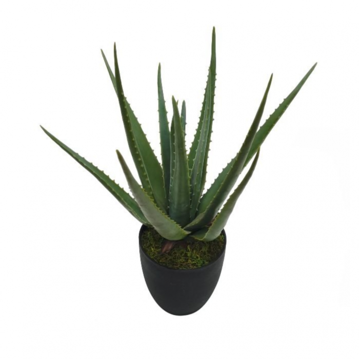 Kunstplant Aloe Vera in pot 70 cm main product photo