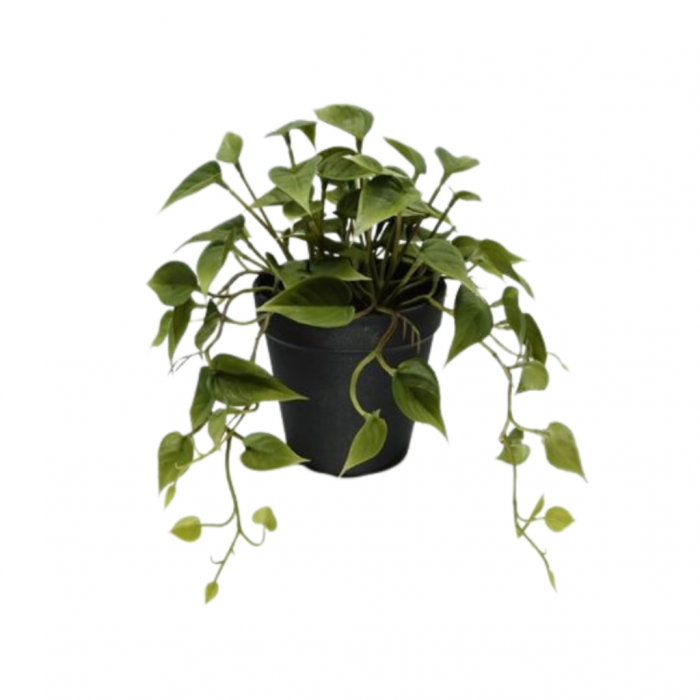 Kunstplant Scindapsus in pot 19 cm main product photo