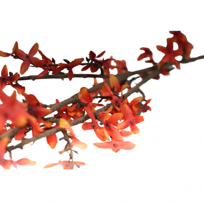 Chinees klokje 113 cm oranje main product photo