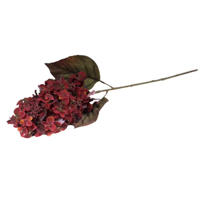 Sering 70 cm rood main product photo