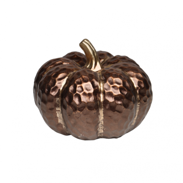 Pompoen koper 14 x 13.5 cm main product photo