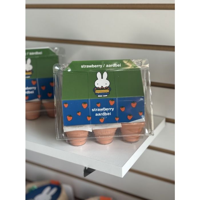 Nijntje Minikas Aardbei