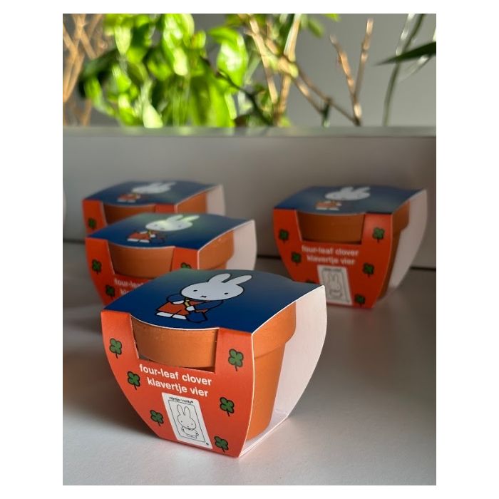 Nijntje Terracota Pot Klavertje Vier