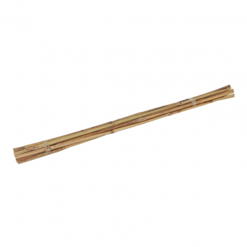 Talen Tools Bamboestokken 60 cm Ø6-8 mm 10 stuks