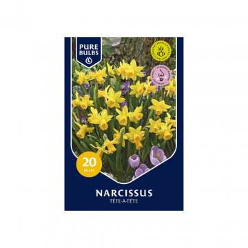 Narcissus Tête-à-Tête 